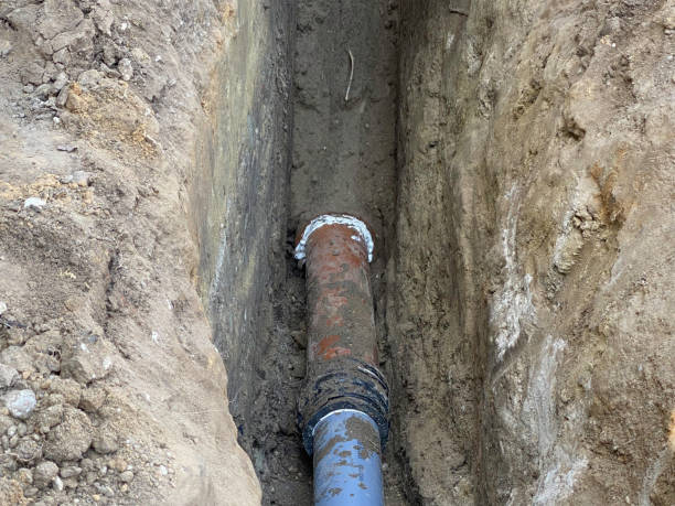 Best Flood damage cleanup  in Thurmont, MD