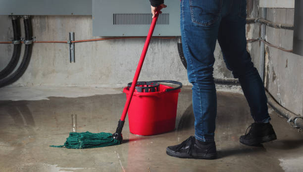 Best Water damage restoration near me  in Thurmont, MD