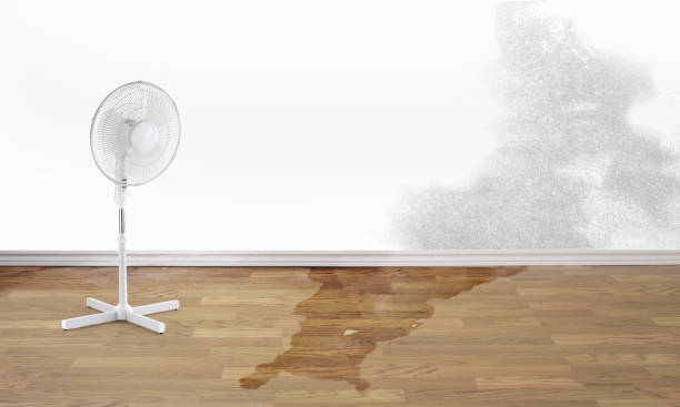 Local water damage restoration in MD