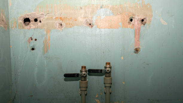 Best Professional water damage repair  in Thurmont, MD
